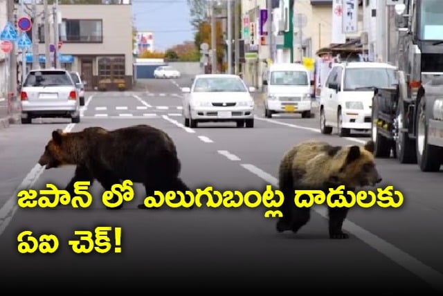 japan to counter bear attacks with ai technology