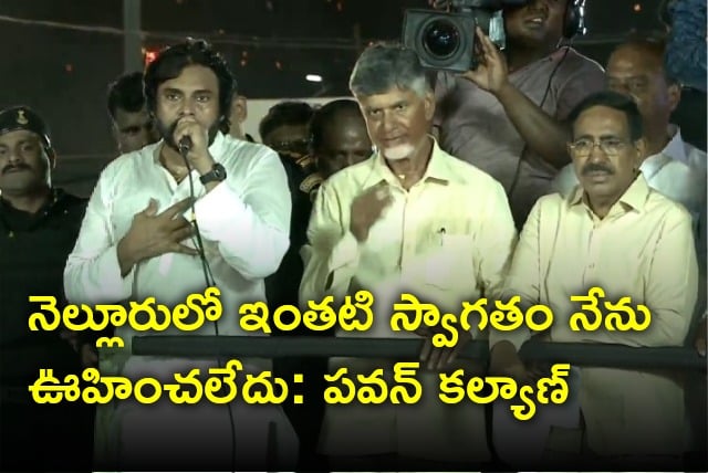 Pawan Kalyan says he never expect such huge welcome in Nellore