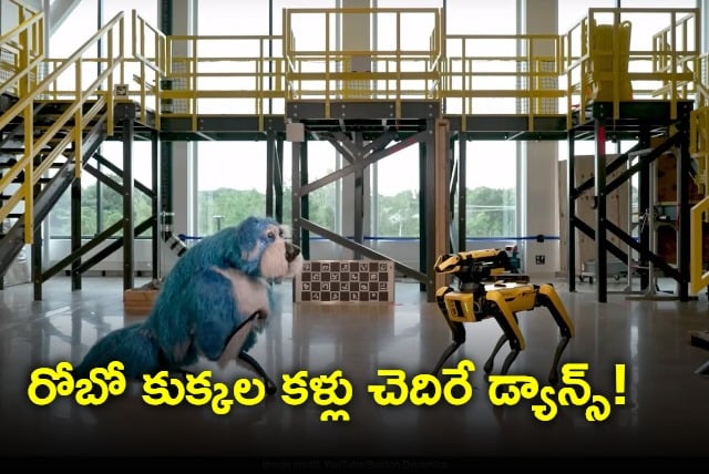 Video Of Dancing Robot Dog Shocks Internet