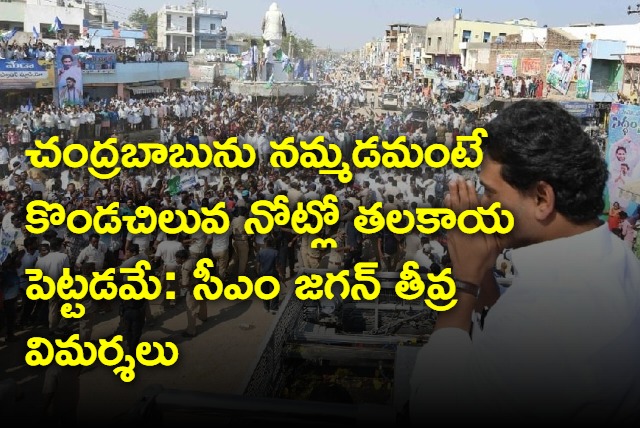 Believing Chandrababu is like putting a head in the mouth of a python sasy AP CM YS Jagan