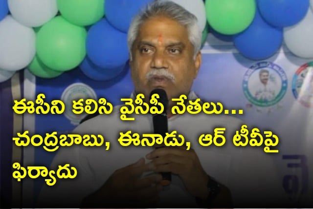 YCP leaders met EC and complains against Chandrababu and others