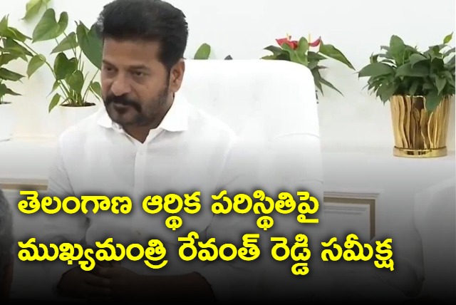 Revanth Reddy review on telngana economic situation