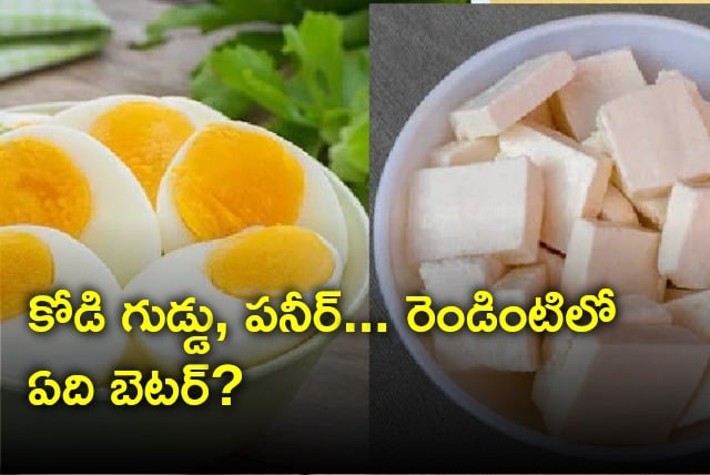 What is better food egg or paneer