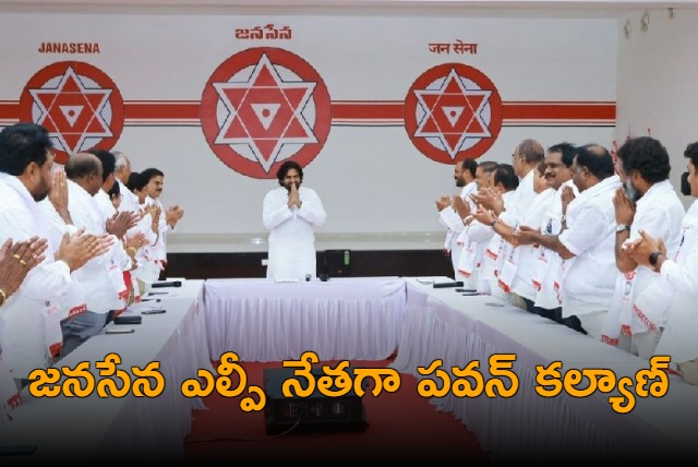 pavan kalyan elected as janasena legislature party leader