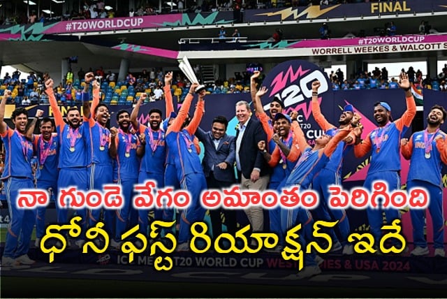 MS Dhoni First Reaction After India T20 World Cup Win 
