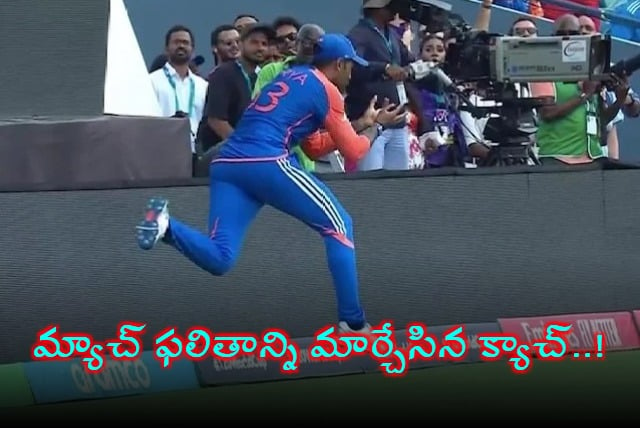 Suryakumar Yadavs Stunning Catch That Clinched T20 World Cup 2024 Title For India