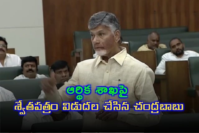 AP CM Chandrababu releases white paper on finance