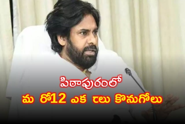 Deputy CM Pawan Kalyan Buys 12 Acres in Pithapuram