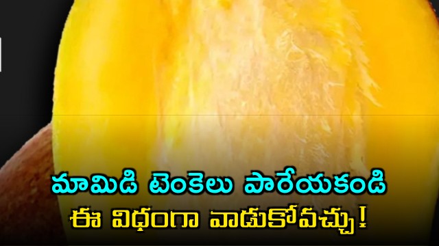 Stop Throwing Away Mango Seeds