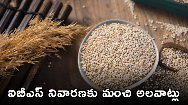 Best Foods to Eat If You Have IBS