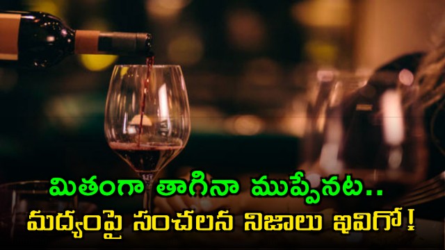 Alcohol consumption even in moderation is dangerous says latest study