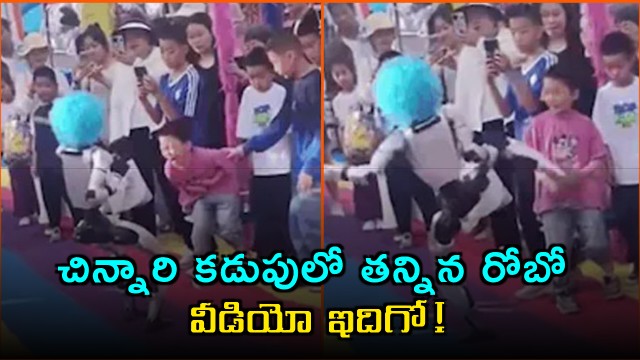 Humanoid Robot kicks child in stomach during performance in China viral video