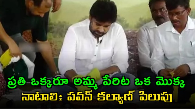 Pawan Kalyan urges everyone to plant a tree in their mothers name for World Environment Day