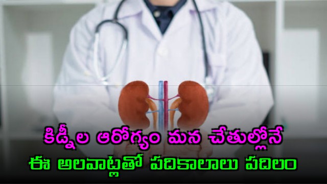 Kidney health is in our hands these habits keep them safe for a long time