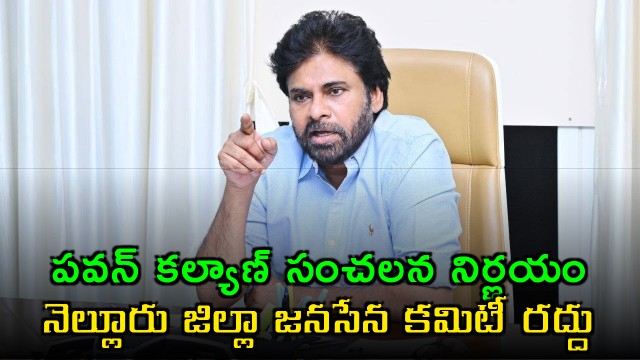 Pawan Kalyan sensational decision Janasena committees in combined Nellore district dissolved