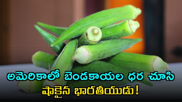 Indian man shocked by the price of Bhindi in America