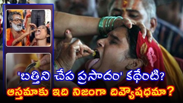 Bathini Fish Prasadam 176 years of trust and hope for asthma patients