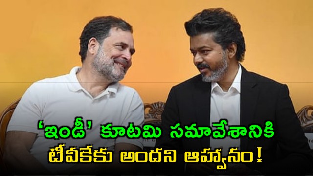 Vijay TVK party not invited to INDI Alliance meeting here is the reason