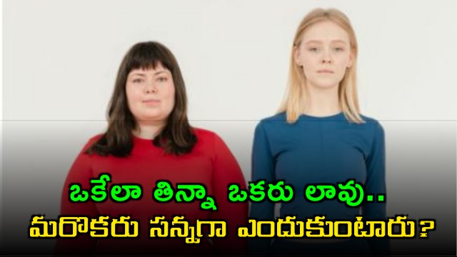 Weight gain differences why some people stay thin and others get fat