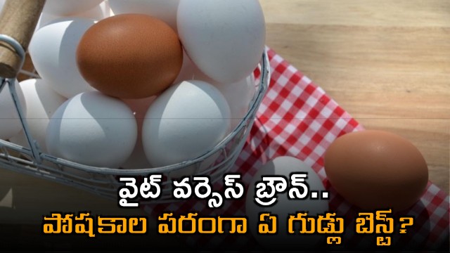 White vs Brown Which eggs are best in terms of nutrients