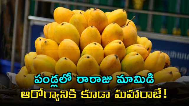 Mango is the king of fruits and also a king for health