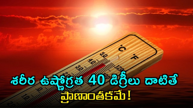 Scorching Heat Body Temperature Above 40 Degrees Can Be Fatal