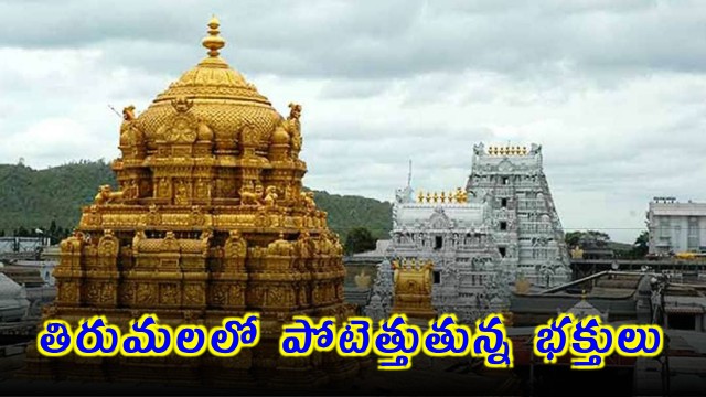 Tirumala heavy rush continues as devotees flock for darshan