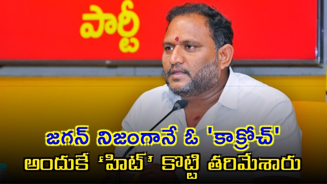 Jagan Mohan Reddy is a cockroach and people hit him with votes says MLC Srikanth