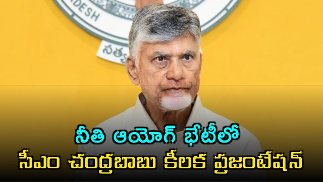 Chandrababu Naidu presents Swarnandhra 2047 vision at NITI Aayog meeting