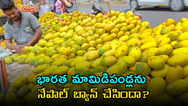 Did Nepal ban Indian mangoes Center clarifies
