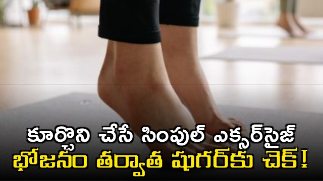 Soleus Push up sitting exercise to control blood sugar spikes after meals