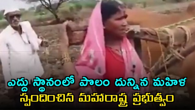 Hausabai Gaikwad plows field instead of ox Maharashtra government responds