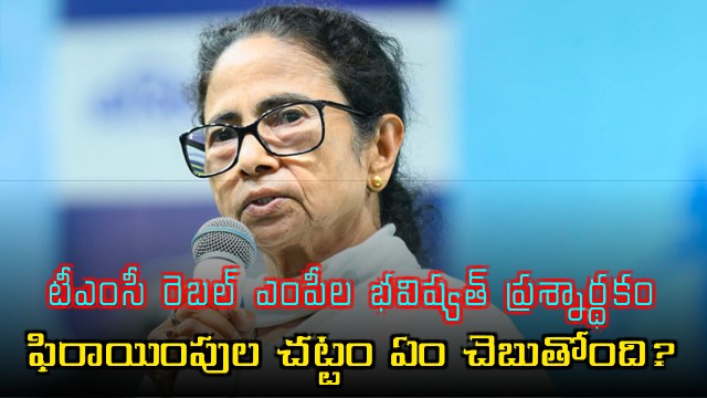 Trinamool Congress rebel MPs future in question what does anti defection law say