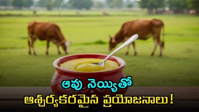 5 Surprising Benefits of Cow Ghee