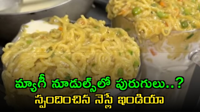 Nestle India Responds to Allegations of Insects in Maggi Noodles