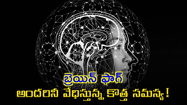 Brain Fog a new health issue troubling everyone