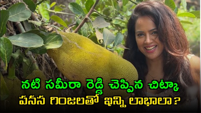 Sameera Reddy reveals health secrets and benefits of jackfruit seeds