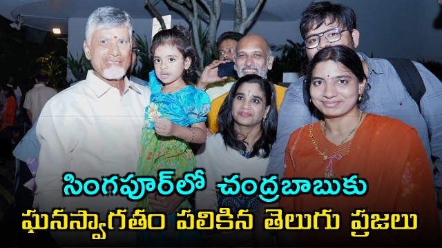 Chandrababu Naidu receives grand welcome from Telugu community in Singapore 