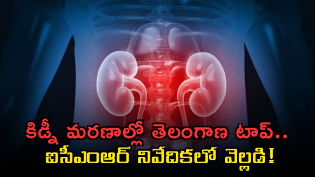 Telangana tops in kidney deaths shocking facts in ICMR report