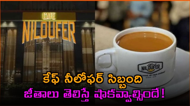 Cafe Niloufer CEO level package for Chai masters staff salaries will shock you
