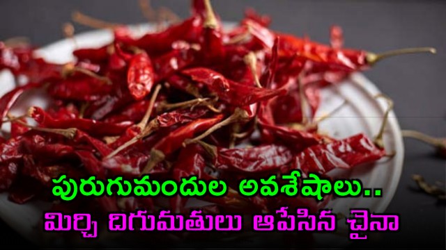 Guntur Chili exporters worried as China halts imports due to pesticide residues