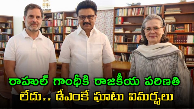 Rahul Gandhi lacks political maturity DMK slams Congress