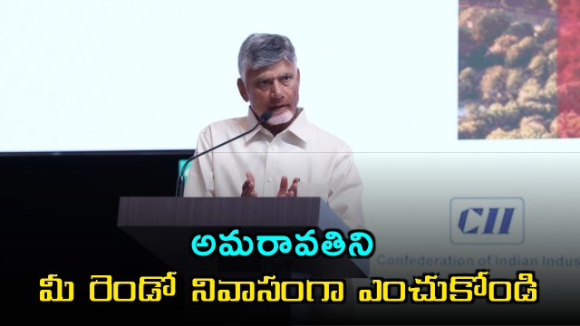 Chandrababu Naidu invites Singapore investors to choose Amaravati as their second home