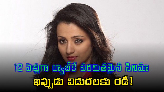 Trisha movie stuck in lab for 12 years is now ready for release