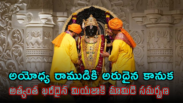 Rare gift for Ayodhya Ram Offering of world most expensive Miyazaki mangoes