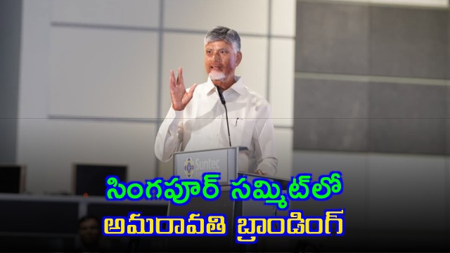 Chandrababu Naidu Brands Amaravati at Singapore Summit with Key Speech