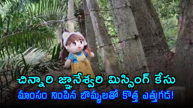 Sunkara Gnaneswari missing case new strategy with meat filled dolls