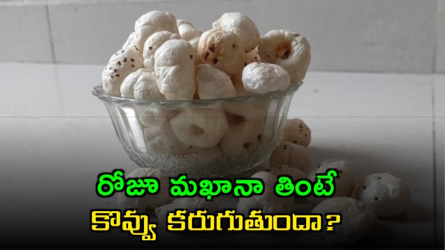 Does eating Makhana daily burn fat Here is what experts say