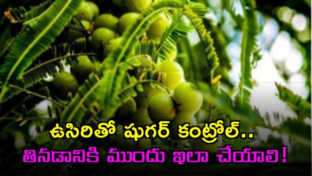 Amla for sugar control do this before eating for best results