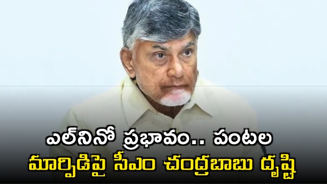 Chandrababu Naidu focuses on crop rotation amid El Nino impact